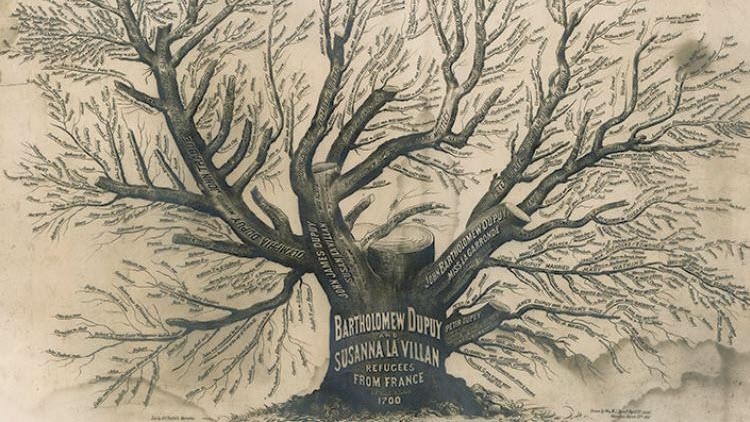 Family tree of Bartholomew Dupuy and Susanna La Villan
