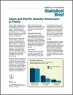 Statistical Brief: Asian and Pacific Islander Americans: A Profile