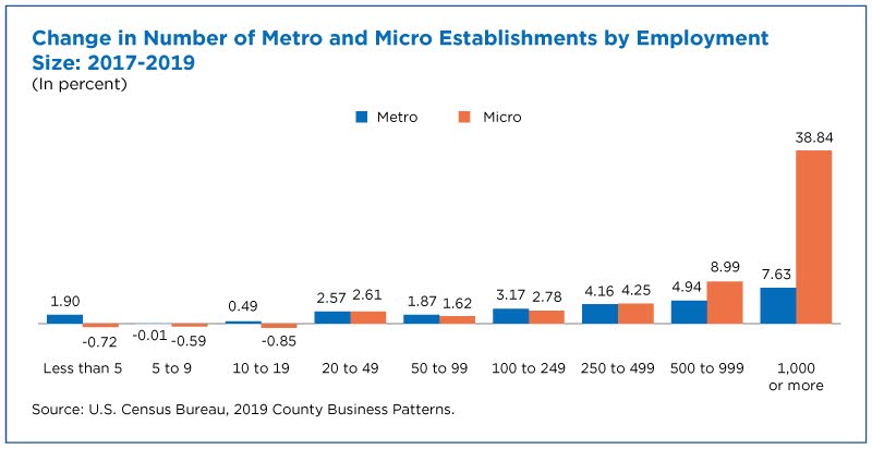 Figure 4. Change in Number of Metro and Micro Establishments by Employment Size: 2017-2019