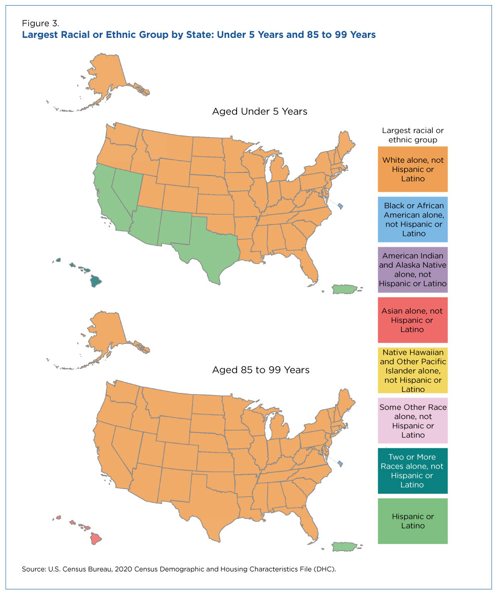 Figure 3. Largest Racial or Ethnic Group by State: Under 5 Years and 85 to 99 Years